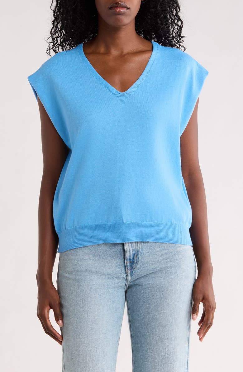 Nicole Miller V-Neck Sweater, Alternate, color, Light Blue/ Scarf Print