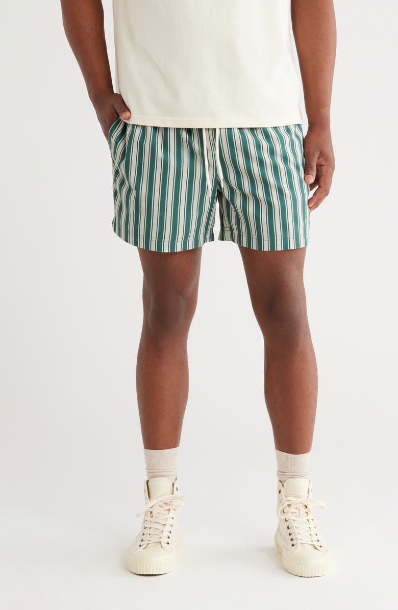 PacSun Maldives Stripe Swim Trunks, Main, color,