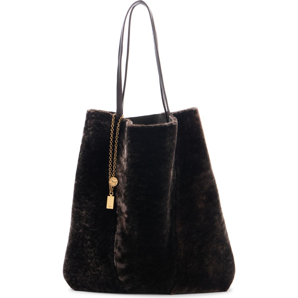 Chloé Spin Leather-trimmed Embellished Shearling Tote In Brown