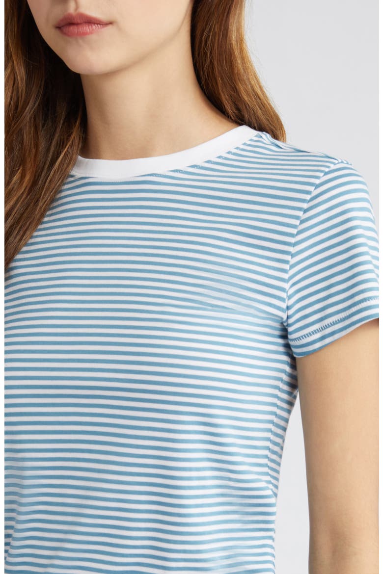 Stripe Fitted T-Shirt, Alternate, color, SKY BLUE MULTI