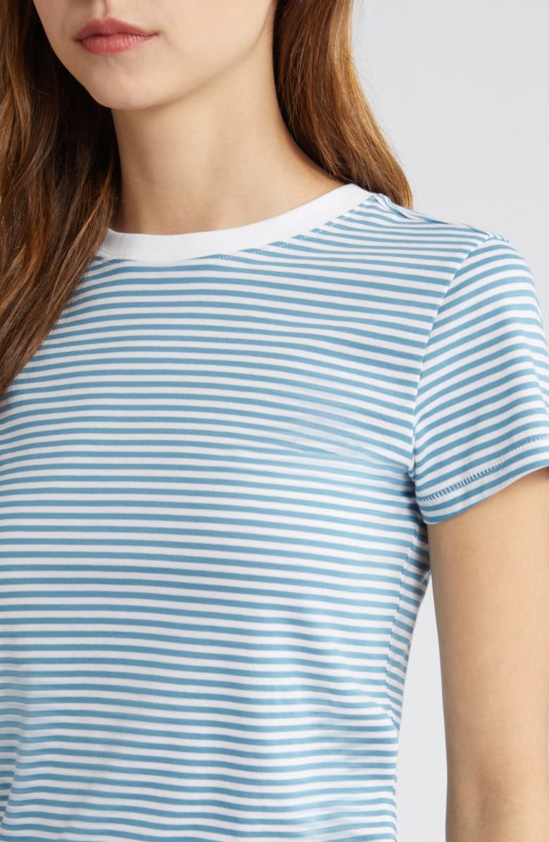 FRAME Stripe Fitted T-Shirt, Alternate, color, 