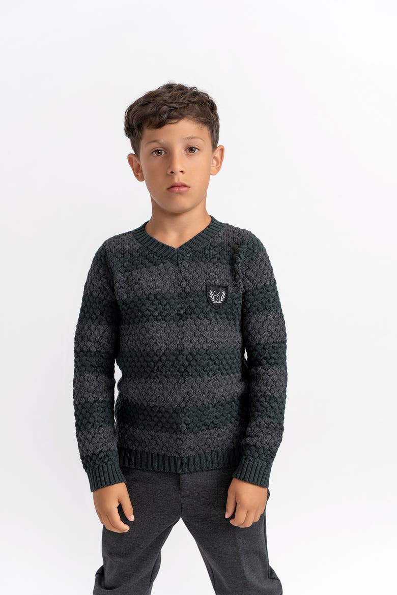 Striped V-Neck Sweater with Crest Patch, Alternate, color, Forest/Charcoal