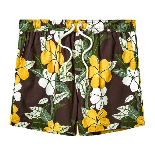 Tombolo Night Bloom Swim Trunks In Brown