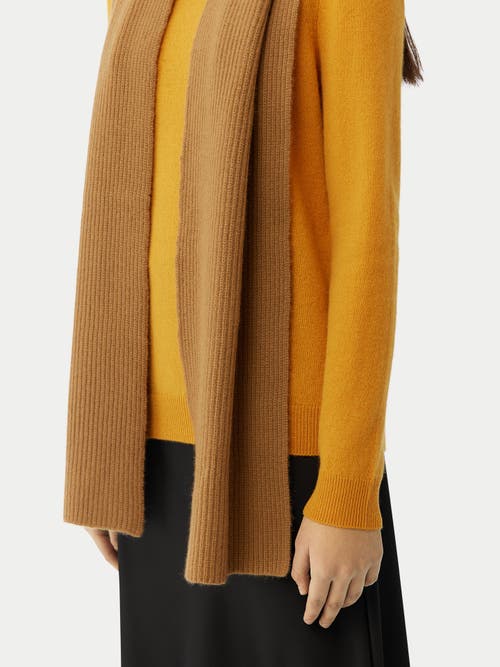 Gobi Mongolian Cashmere Fisherman Knit Scarf In Almond