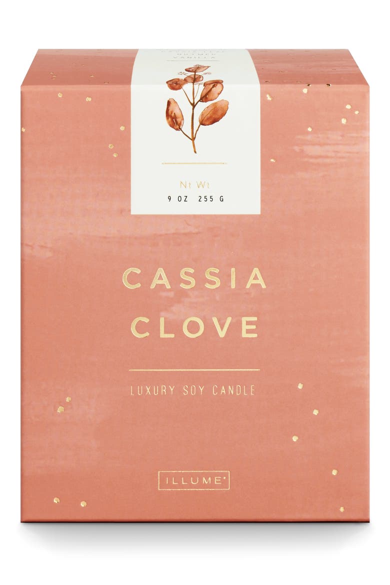 Cassia Clove Luxe Sanded Candle, Main, color, CASSIA CLOVE