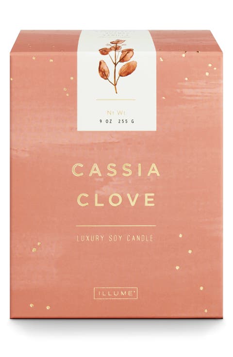 Cassia Clove Luxe Sanded Candle