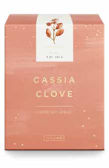 Cassia Clove Luxe Sanded Candle