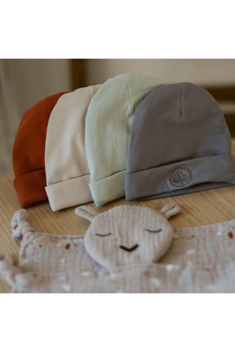 Baby Beanies, Alternate, color, Sage/Pewter