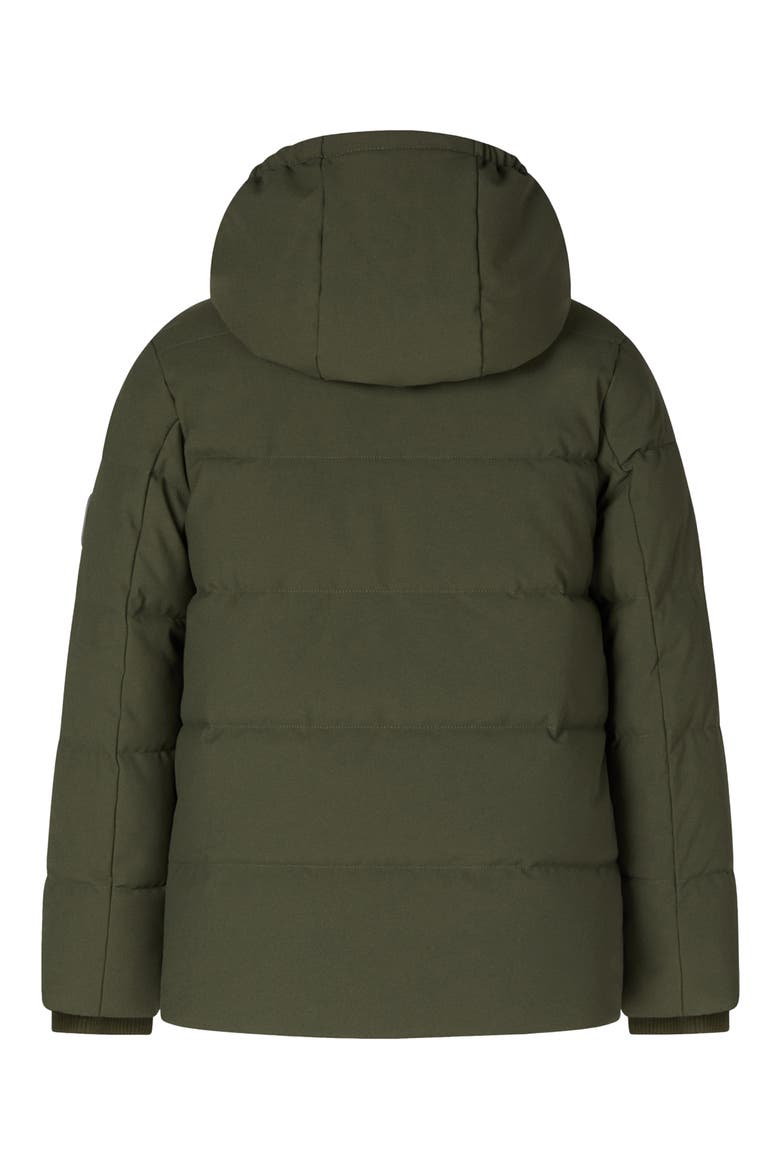 Kids' Molly Faux Fur Lined Parka, Alternate, color, LAUREL GREEN