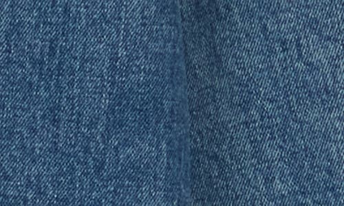 Rails Grove Denim Trucker Jacket In Blue