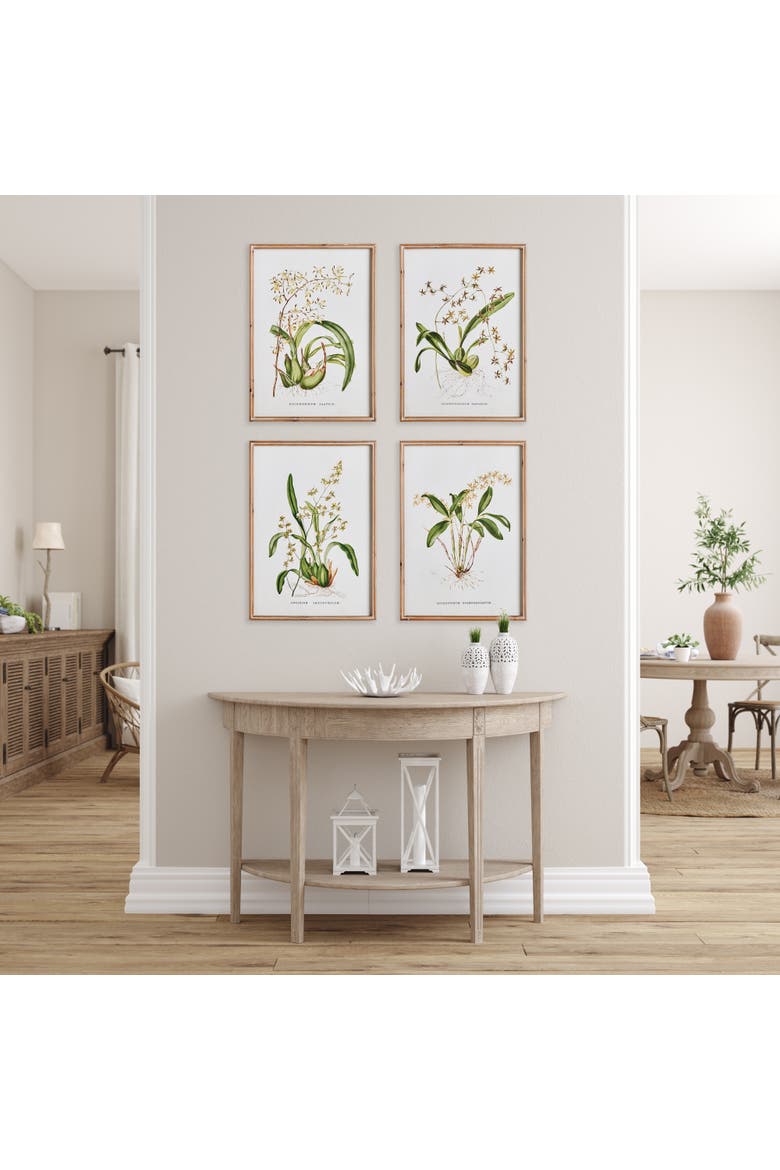 Orchid Assortment Study Set Framed Wall Art of 4, Alternate, color, Green