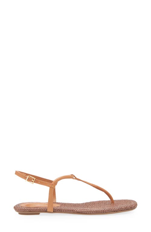 Schutz Elsha Ankle Strap Sandal In Cuoio Brown