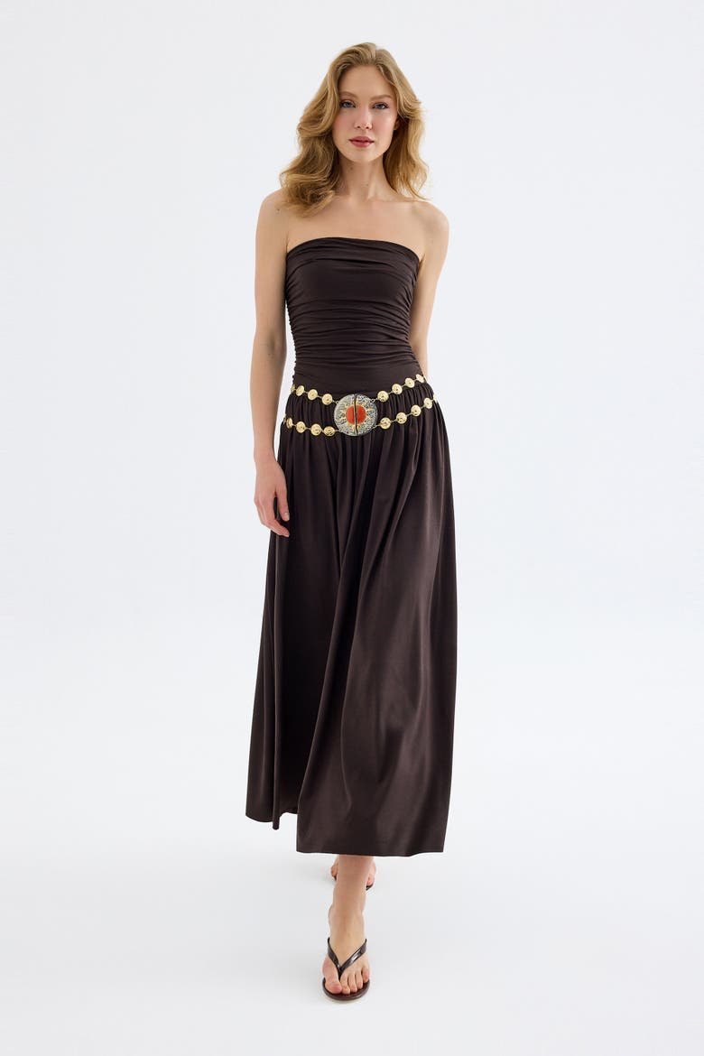 Aluna Strapless Maxi Dress, Alternate, color, Brown