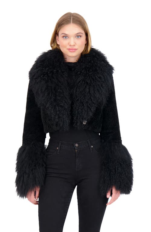 Gorski Cashmere Goat Shearling Crop Bolero Jacket With Mongolian Goat Fur Collar And Cuffs In Black