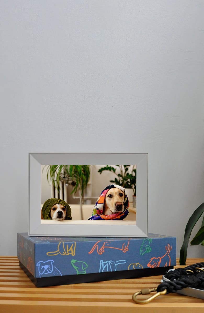 Aura Frames Aura Buddy Digital Photo Frame, Alternate, color,