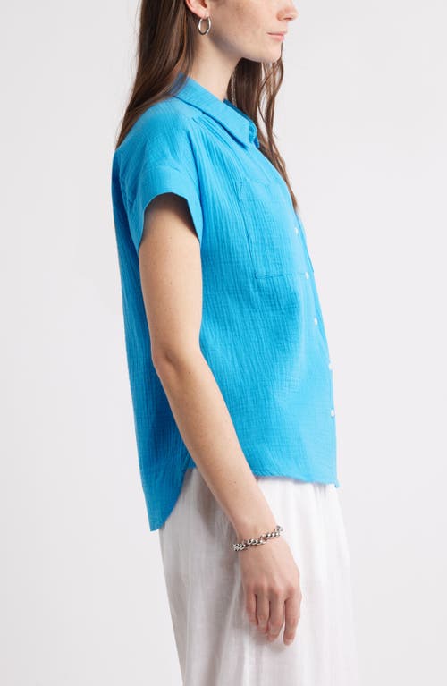 CASLONR CASLON(R) COTTON GAUZE BUTTON-UP SHIRT 