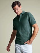 Charles Tyrwhitt Stripe Texture Short Sleeve Knitted Cotton Polo