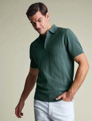 Charles Tyrwhitt Stripe Texture Short Sleeve Knitted Cotton Polo