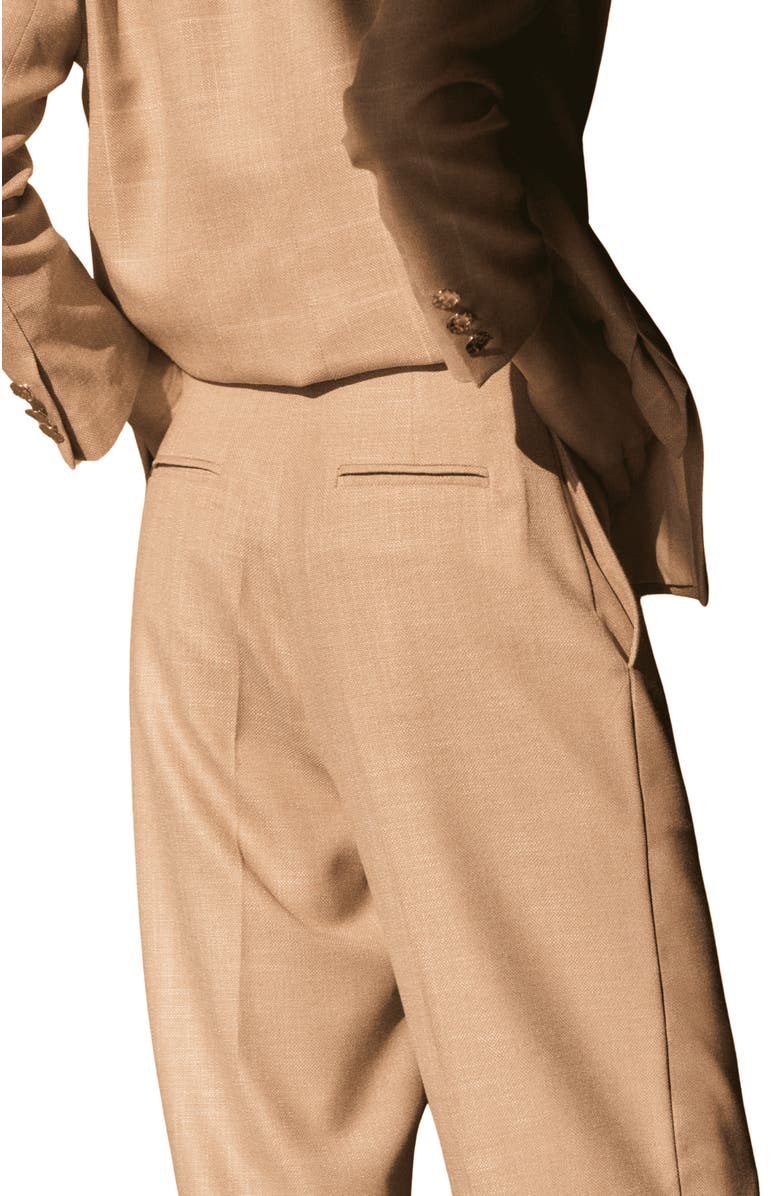 The IQ Collection Max Pants, Alternate, color, Brown