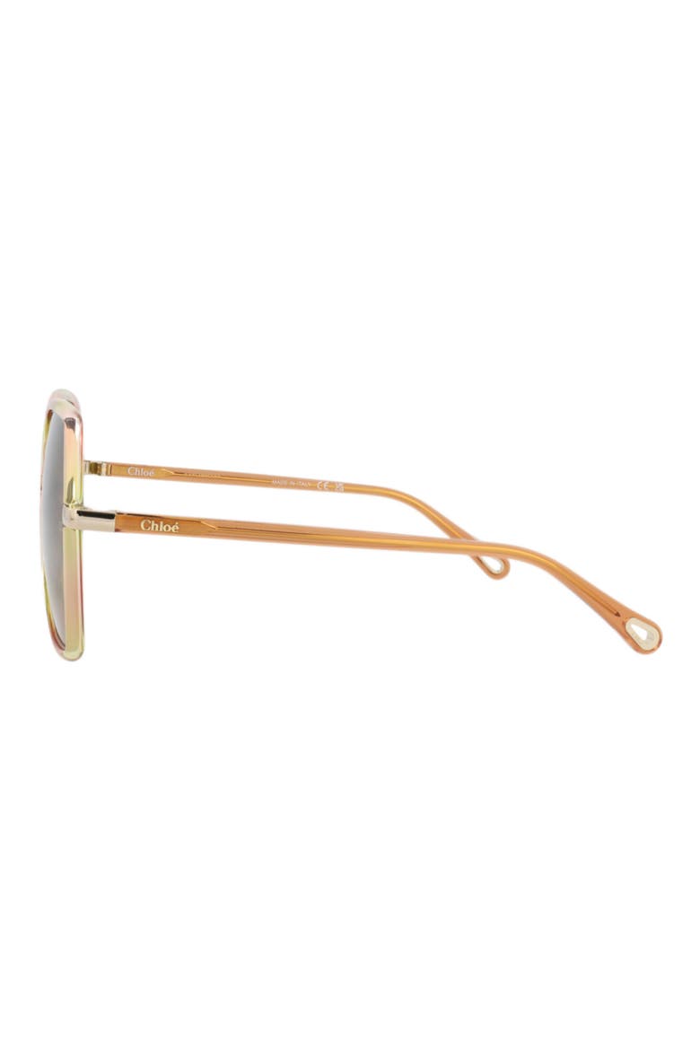 58mm Butterfly Sunglasses, Alternate, color, HAVANA ORANGE GREEN
