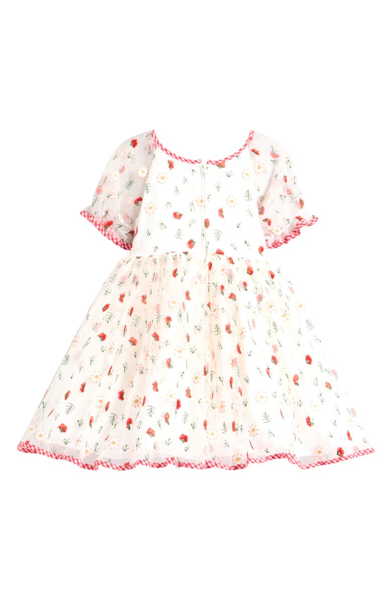Pippa & Julie Kids' Marni Floral Embroidered Party Dress, Alternate, color, Red Floral