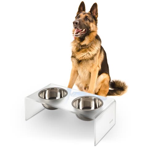 Keaton Modern Lucite Rectangular Elevated Pet Feeder with 2-Stainless Steel Bowls