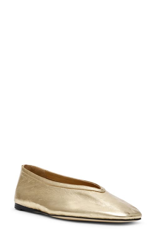 STEVE MADDEN STEVE MADDEN LENI FLAT