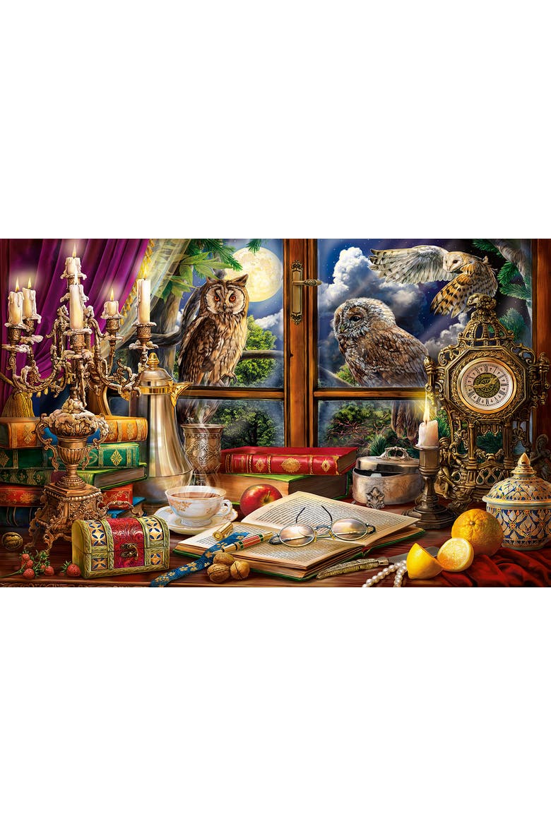 Evening with Owls 550 piece Jigsaw Puzzle for Adults, Alternate, color, Multicolor