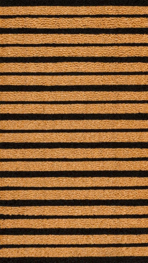 Jonathan Y Peater Classic Casual Commerical Natural Coir Indoor/outdoor Mat In Black