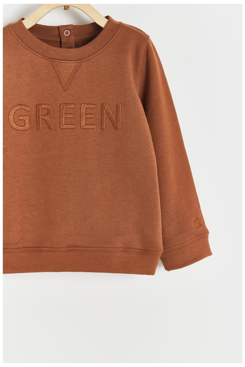 Sweatshirt Lenny Leaves for Toddler, Alternate, color, BROWN