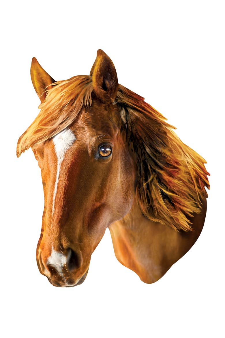 Horse 100 Piece Shaped Jigsaw Puzzle, Alternate, color, Multicolor