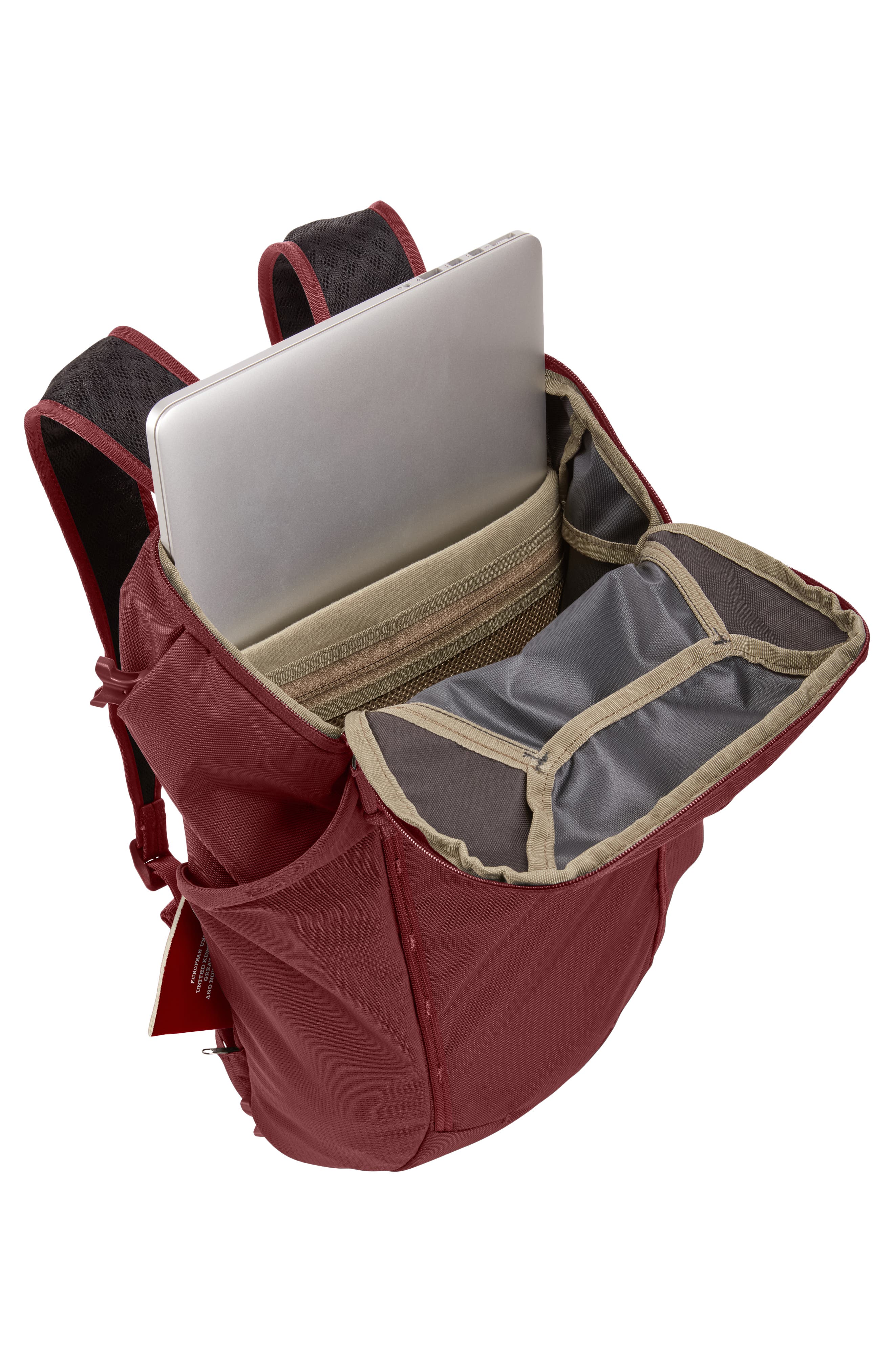 Thule Landmark 70-Liter Travel Backpack, Alternate, color, 