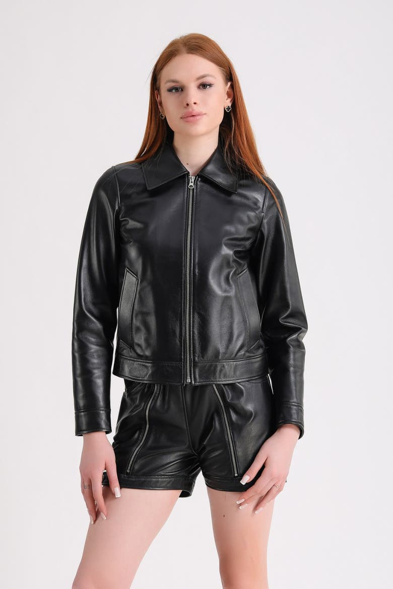 Chloe Leather Jacket, Alternate, color, Black