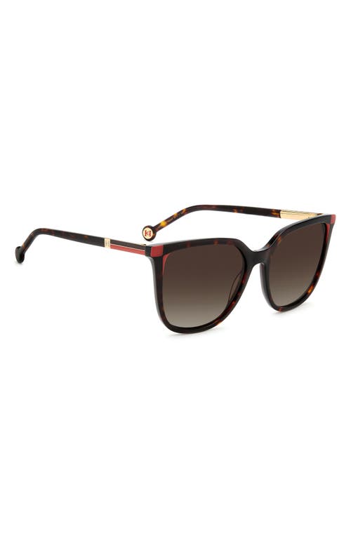 Carolina Herrera 54mm Square Sunglasses In Brown