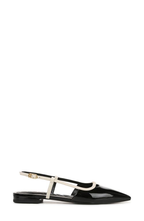 SAM EDELMAN SAM EDELMAN COHEN POINTED TOE FLAT