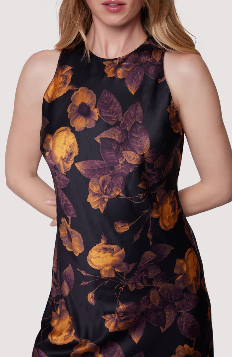 Jardin De Siene Floral Sleeveless Maxi Dress