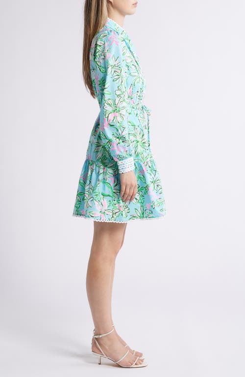 Lilly Pulitzer Arletta Dress In Multi Sun Of A Bun