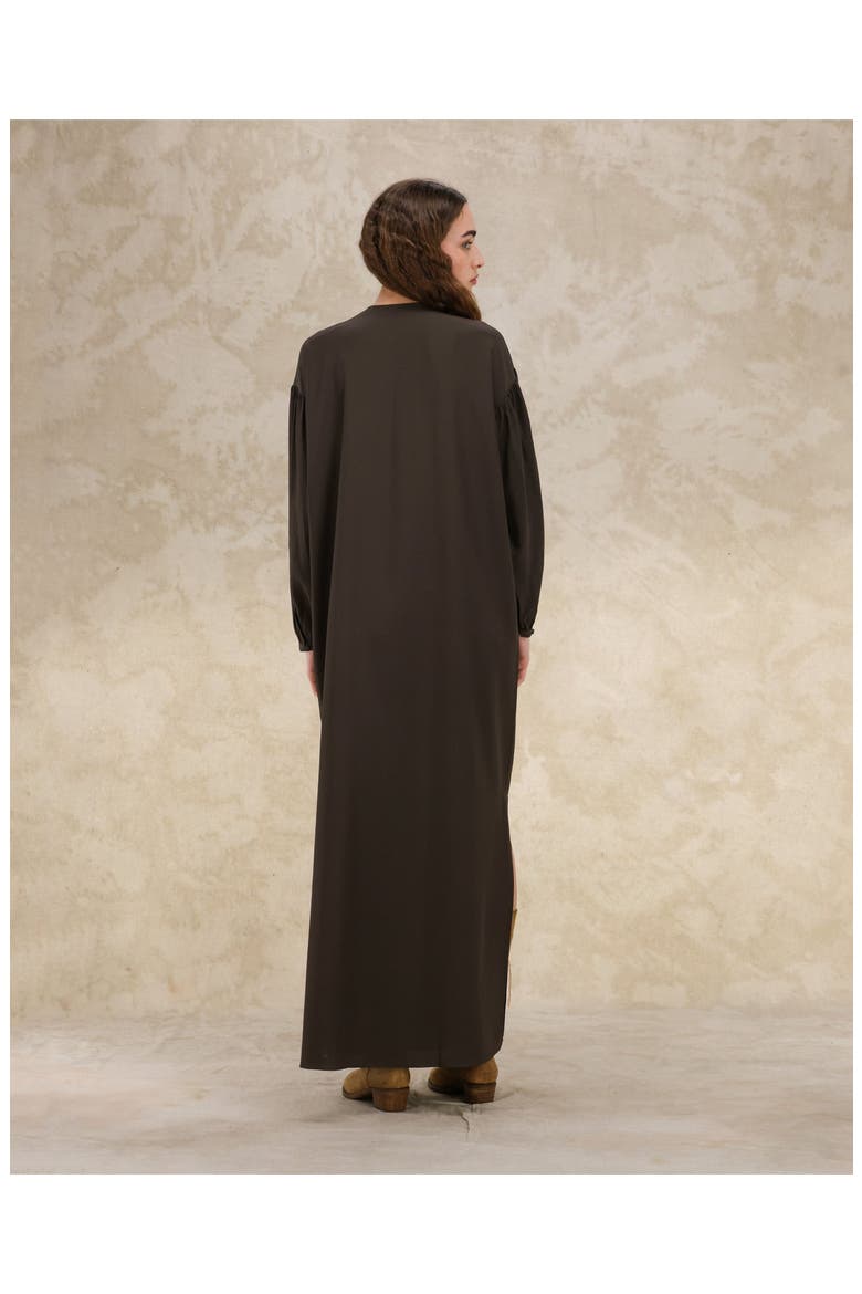 Allegral Embroidered Silk Crepe Dress, Alternate, color, BROWN
