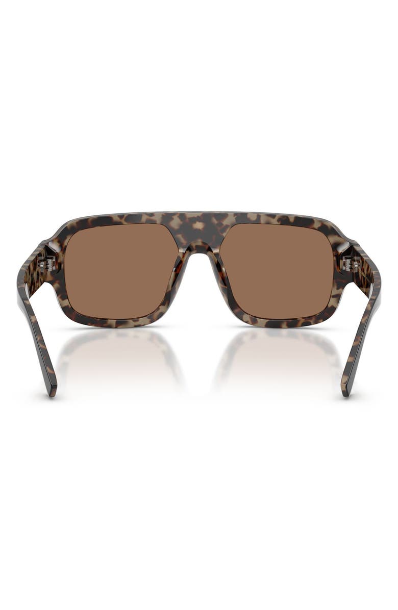 Dolce&Gabbana 55mm Square Sunglasses, Alternate, color, Black Red Havana / Dark Brown