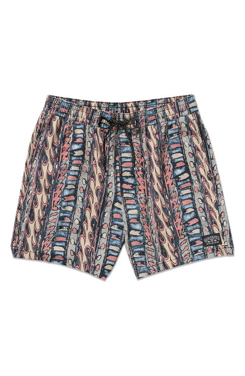 Billabong Occy Board Shorts In Multi