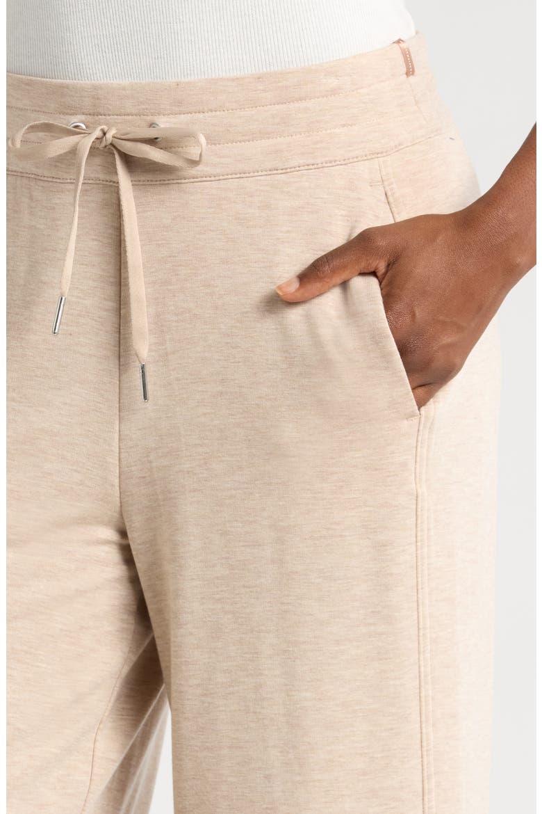 Cloud French Terry Wide Leg Pants, Alternate, color, HEATHER NATURAL