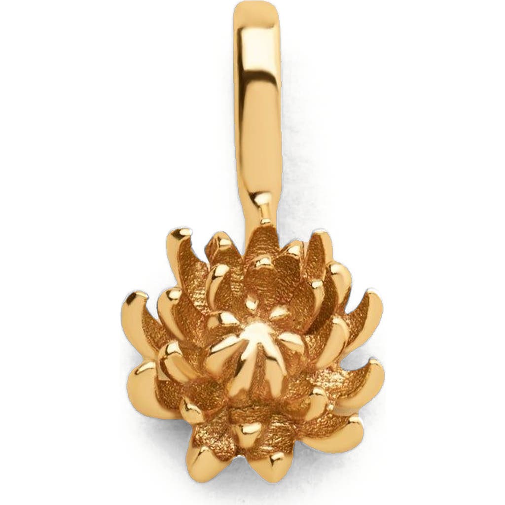 Made By Mary November Birth Flower Charm In Gold