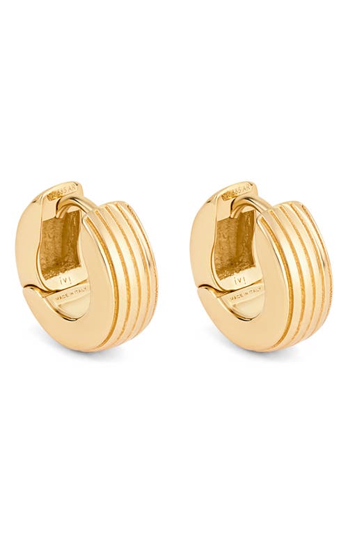 Ivi Los Angeles Slim Aurelia Huggie Hoop Earrings In Yellow Gold