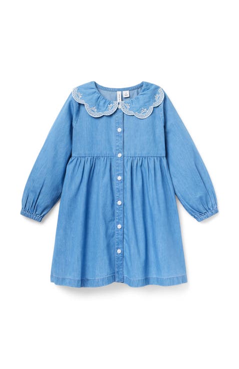 Chambray Embroidered Collar Dress (Toddler)