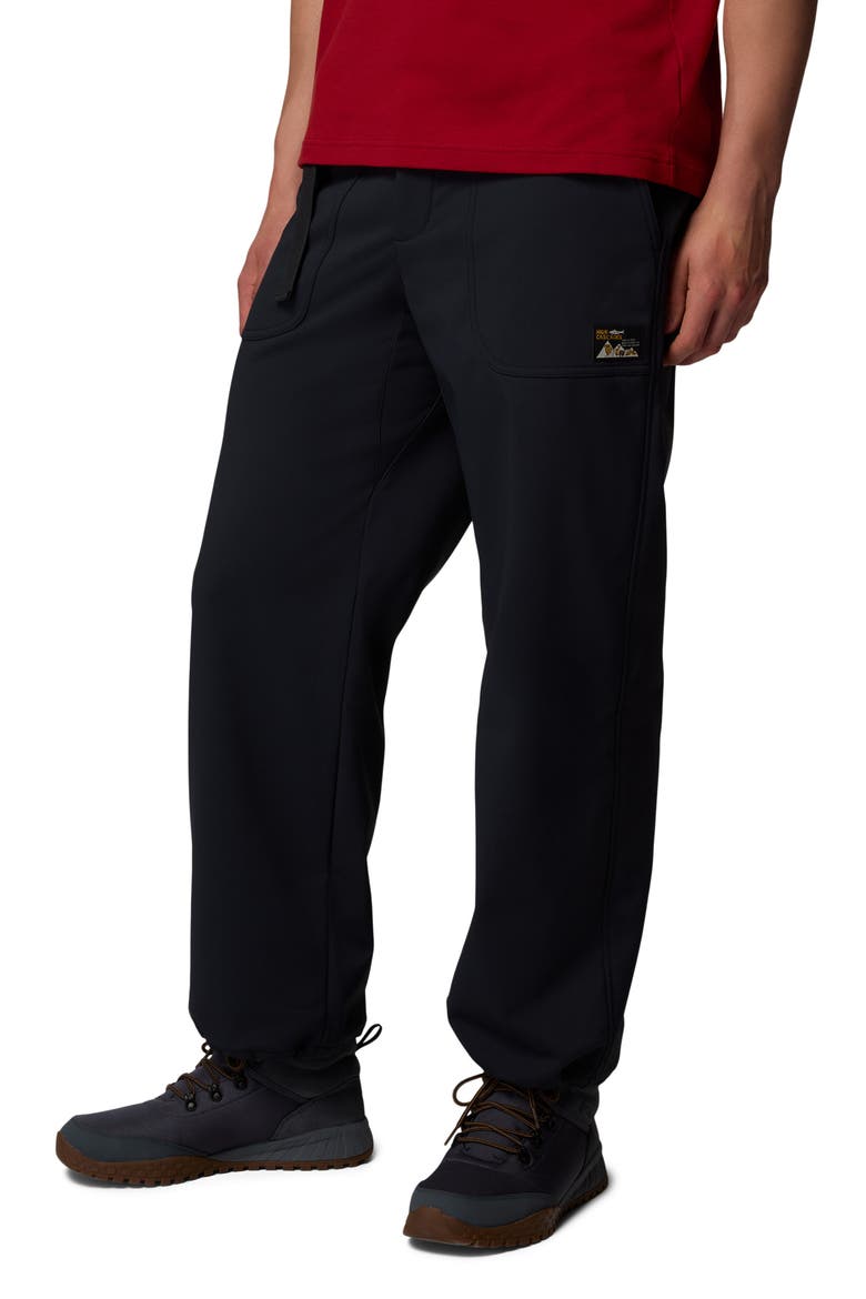 High Cascades Water Repellent Pants, Alternate, color, BLACK 010