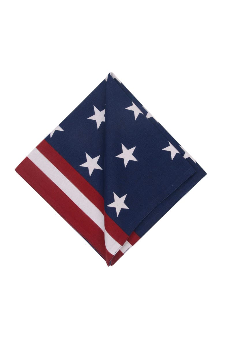 C&F Home Stars & Stripes Patriotic 4th of July Graphic Print Napkins Set of 6, Alternate, color, Red