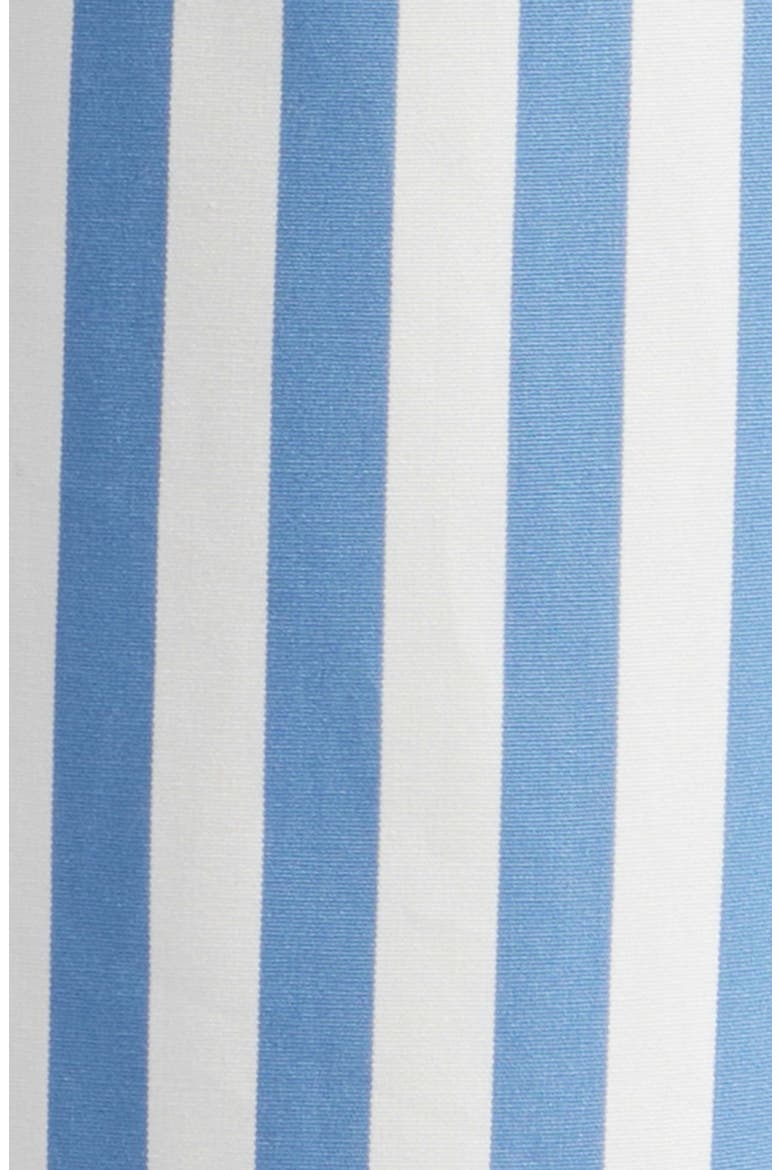 Varick Stripe Cotton Straight Leg Pants, Alternate, color, SKY STRIPE