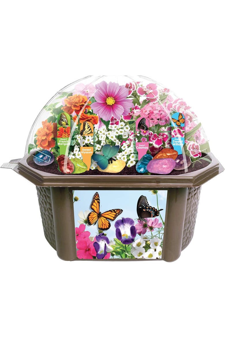 Biosphere Terrarium Starter Kit, Complete Supplies Included to Grow Your Own Enchanting Garden and Indoor Plants!, Main, color, None