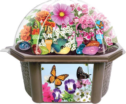 Biosphere Terrarium Starter Kit, Complete Supplies Included to Grow Your Own Enchanting Garden and Indoor Plants!