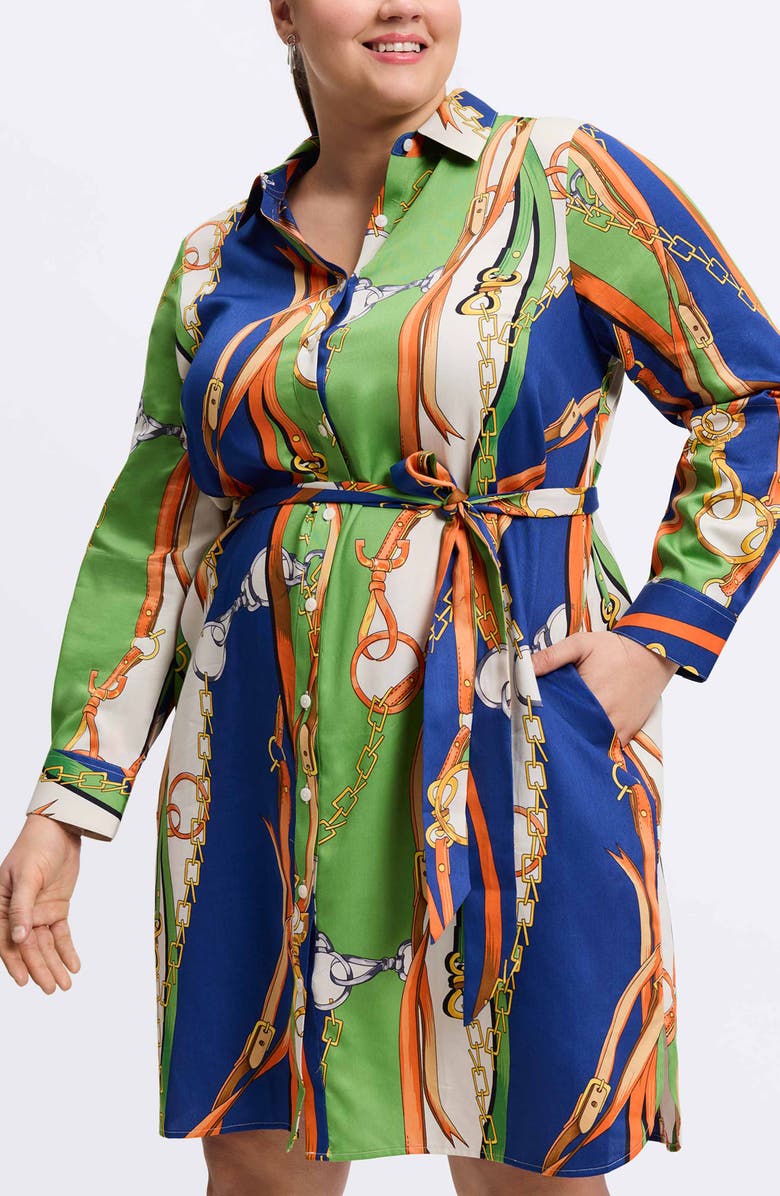 Foxcroft Rocca Chain Print Belted Long Sleeve Shirtdress, Alternate, color, Green Multi